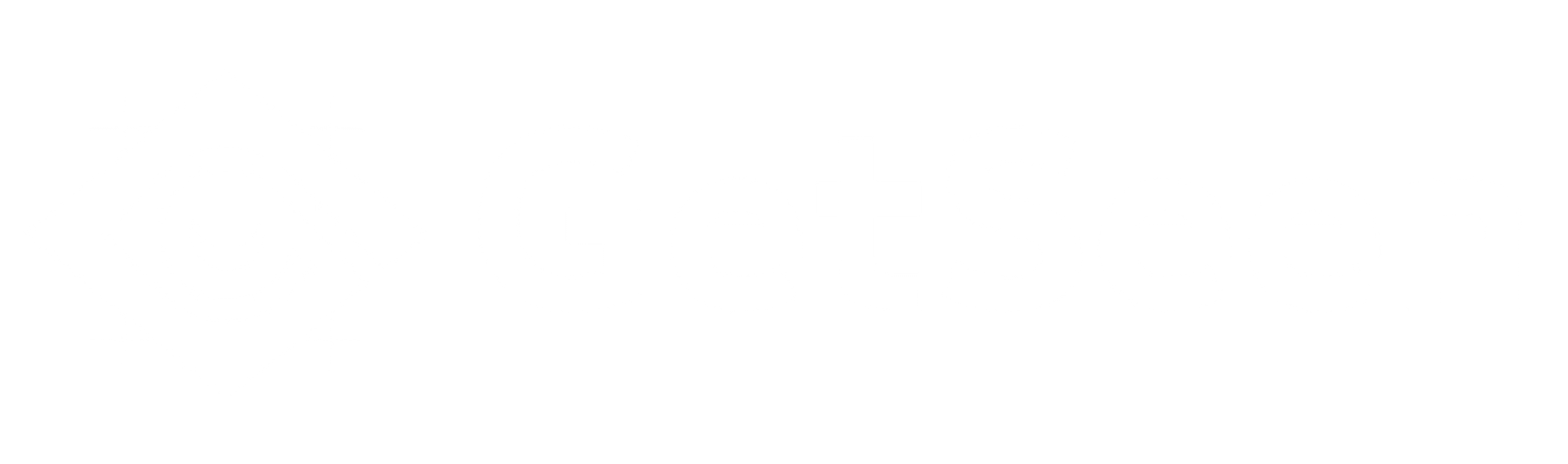 logo not found